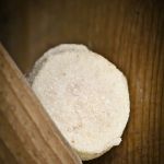 truffels12