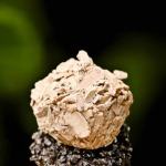 truffels13