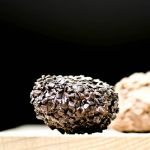 truffels15