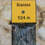 Brantes22-1