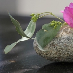 stone-w-flower