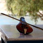 violin