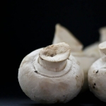 champignons