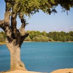 L'Etang de la Bonde 10-1
