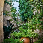 ambiance-1-van-1