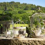 bird cage